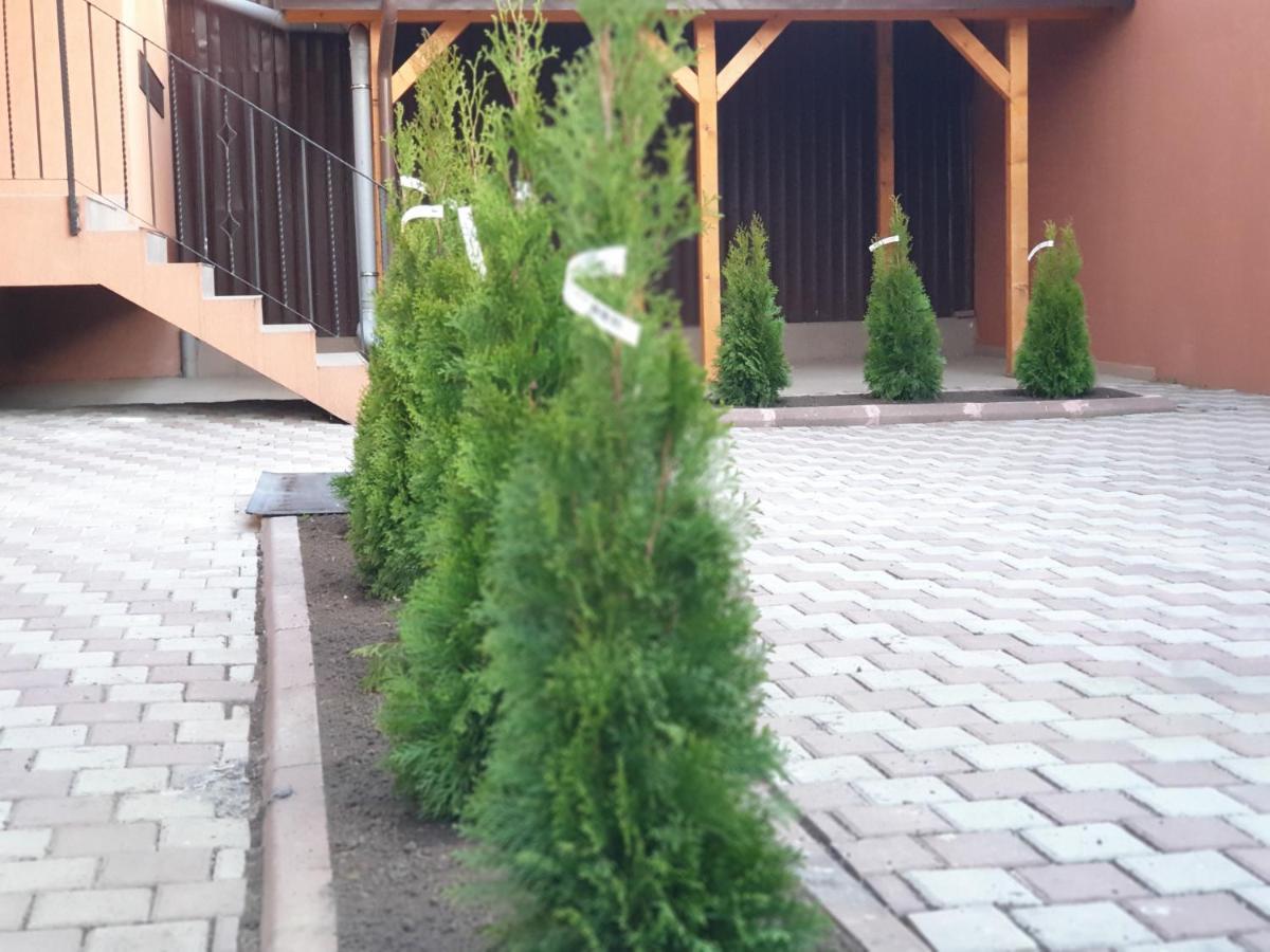 Villa Accommodation Bucharest Exterior photo